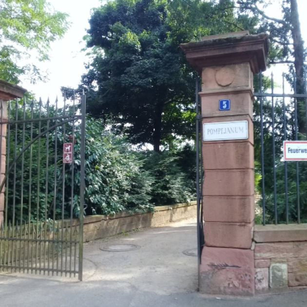 Gate, vinneve photo