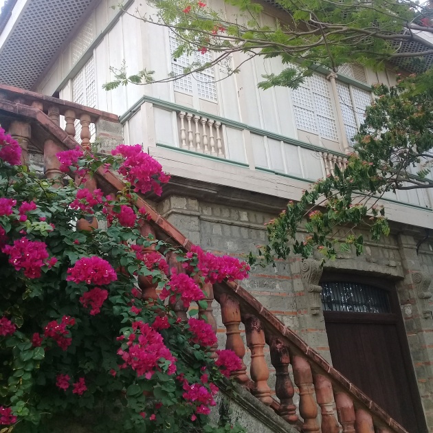 House with flowers, vinneve